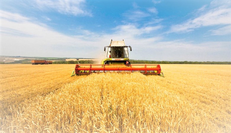 Эксперты в очередной раз повысили прогноз сбора зерна в РФ в этом году