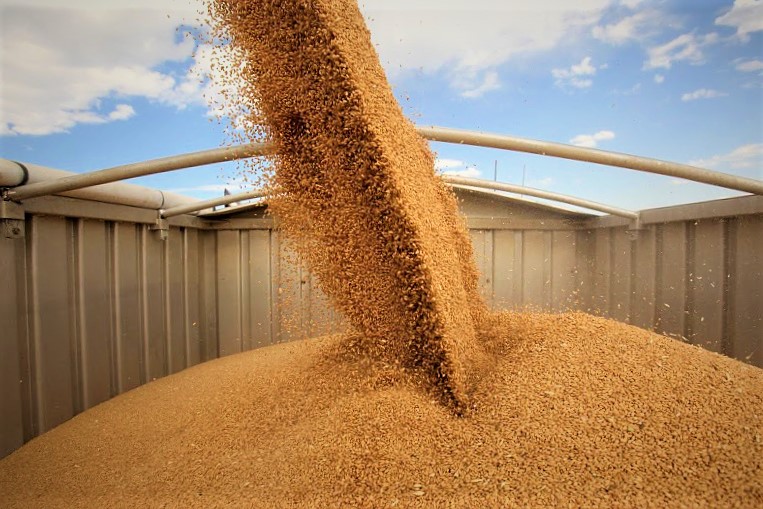 К началу апреля запасы зерна в России составляли 23,5 млн. тонн